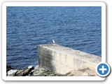 1 Marsala Lungo mare Boeo